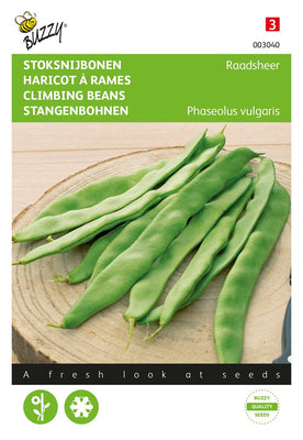 Haricots d'Espagne Raadsheer, type Veense