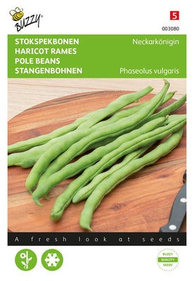 Haricots bâtons Neckarkönigin, type Phenomenon