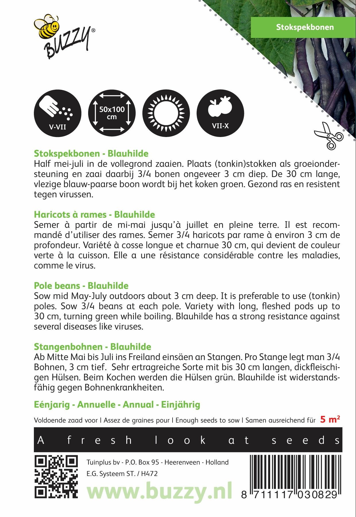 Stokspekbonen Blauhilde - Zaden