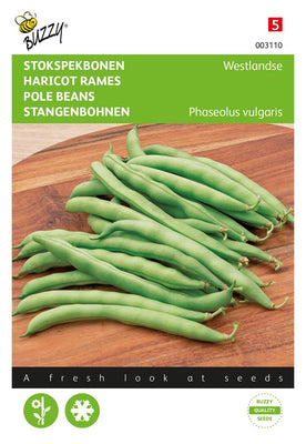 Haricots Westland Double Runner, sans ficelle