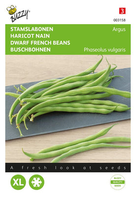Haricots verts standard Haricot Vert Argus