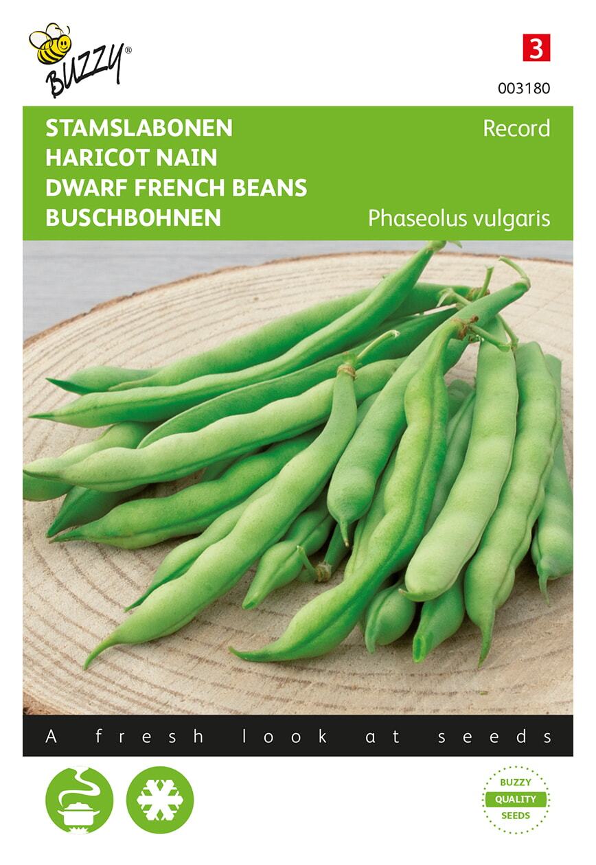 Stamslabonen Record - Zaden