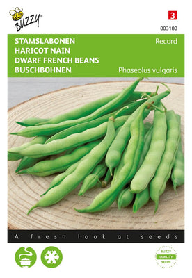 Record des haricots coureurs