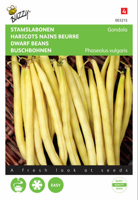 haricots grimpants Gondola