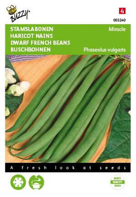 Le miracle des haricots chinois