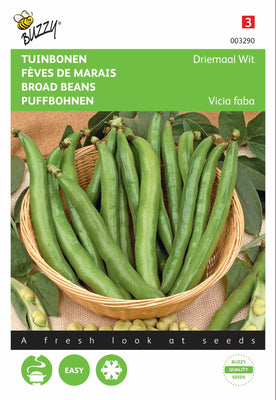 Fèves trois fois blanches