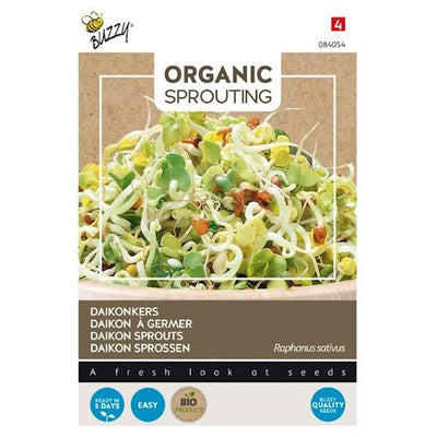 Daikonkers germés (BIO)