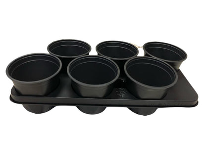 Kweektray met 6 potjes - 15 cm - Kweekbenodigdheden