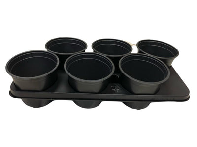 Plateau de culture avec 6 pots - 15 cm