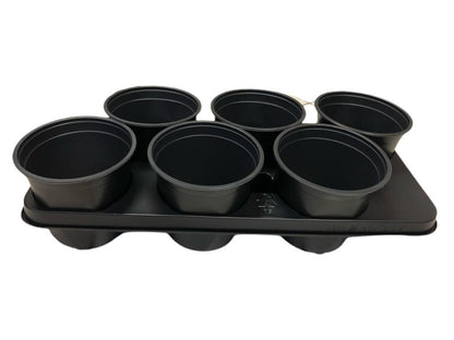 Kweektray met 6 potjes - 15 cm - Kweekbenodigdheden