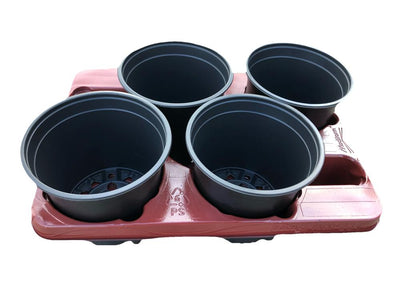 Plateau de culture avec 4 pots - 15 cm
