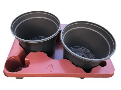 Plateau de culture avec 2 pots - 19 cm