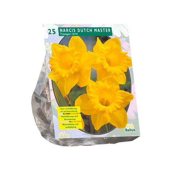 Narcis Trompet, Geel - 20 stuks - Bloembollen