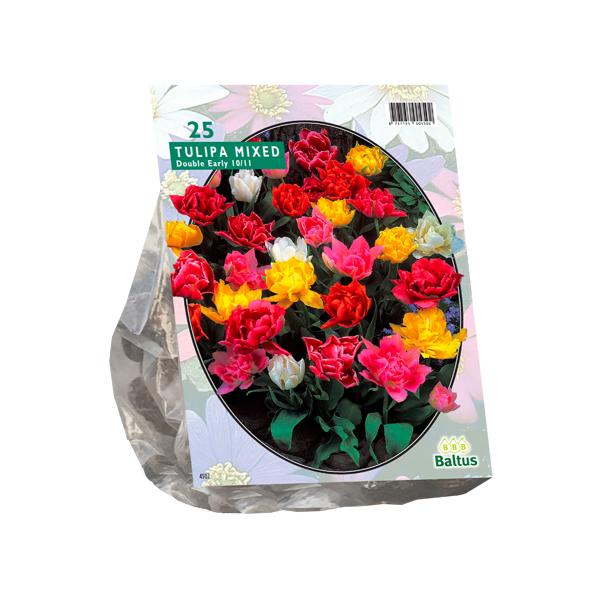 Tulipa Dubbel Mix - 25 stuks - Bloembollen