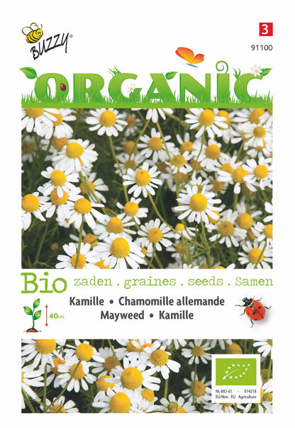 Kamille (BIO) - Zaden