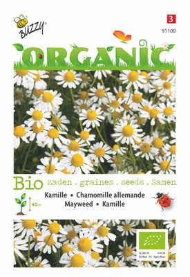 Camomille (BIO)
