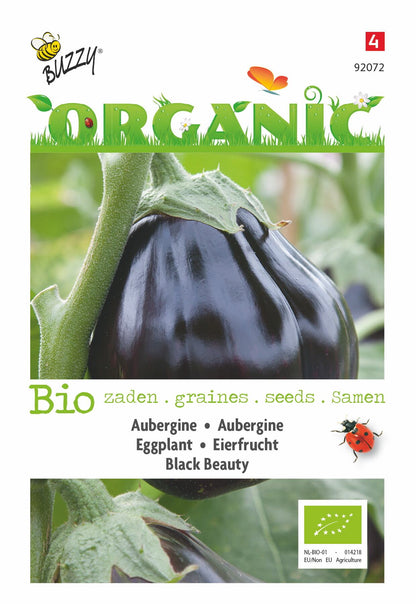 Aubergine Black Beauty (BIO) - Zaden
