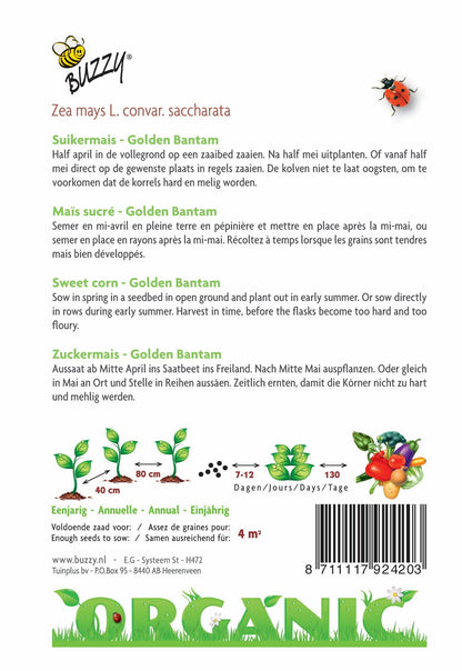 Suikermais Golden Bantam (BIO) - Zaden