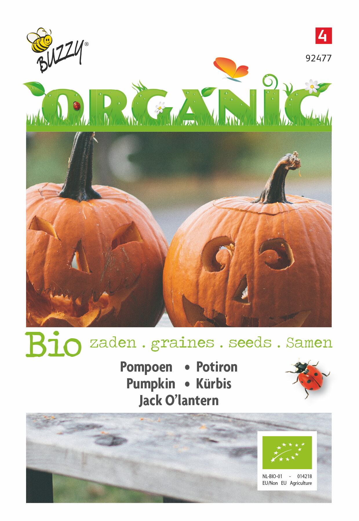 Pompoen Jack O'Lantern (BIO) - Zaden