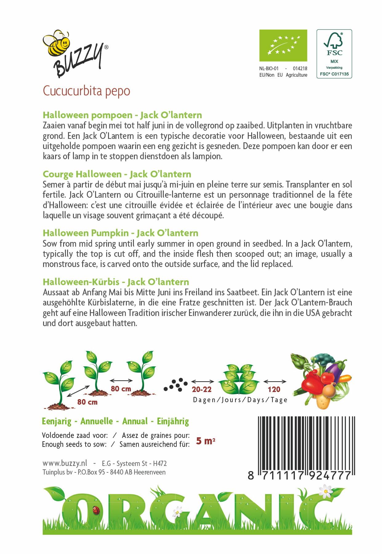 Pompoen Jack O'Lantern (BIO) - Zaden