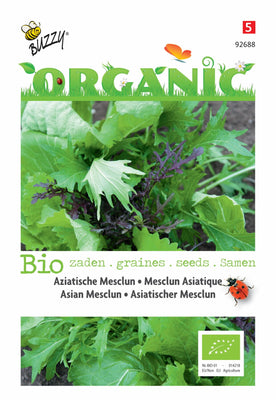 Mesclun asiatique (BIO)