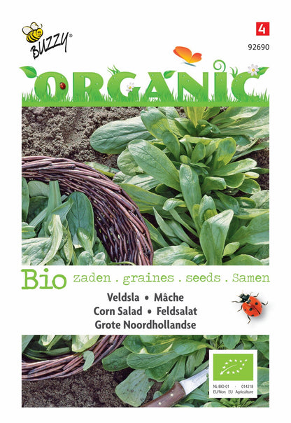 Mâche Grote Noordhollandse (BIO) - Graines