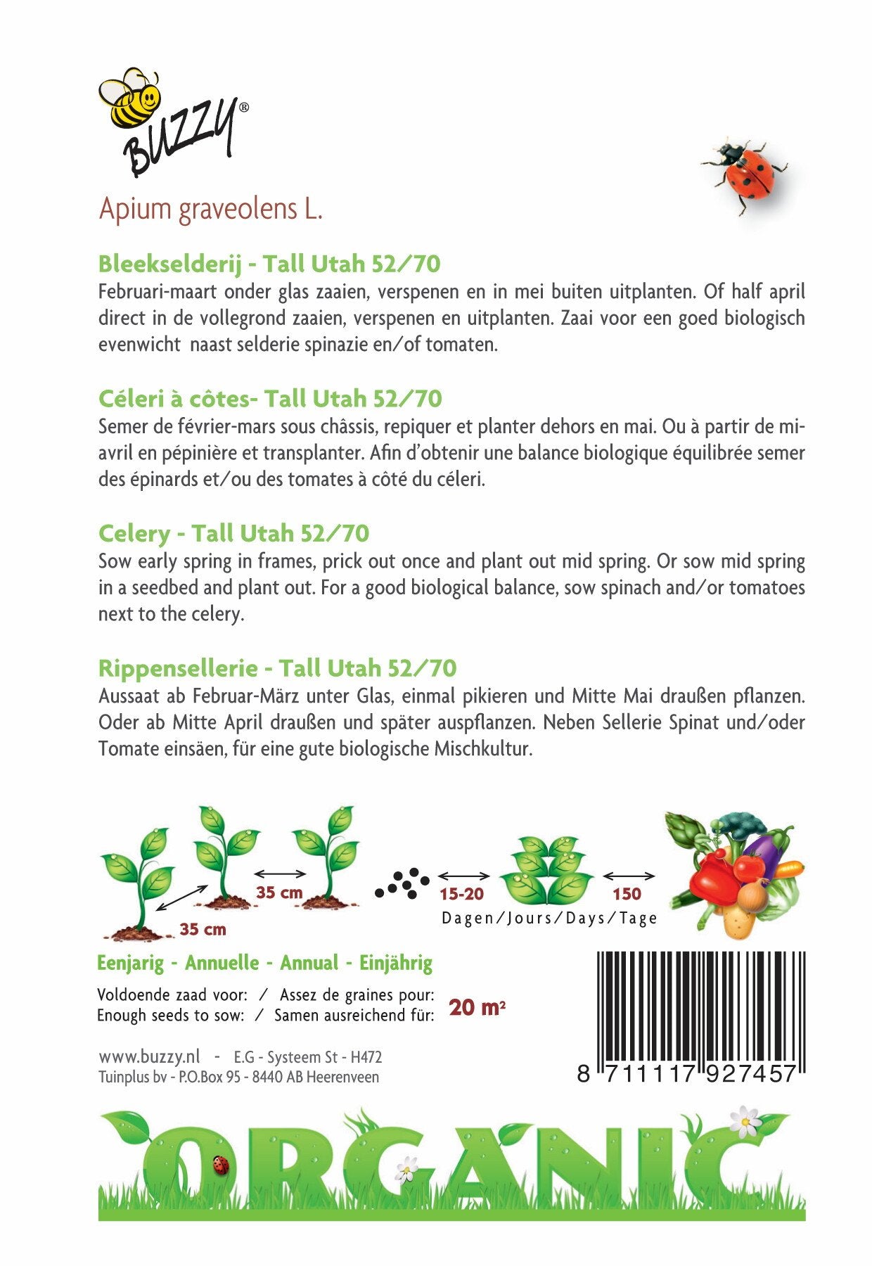 Céleri branche Tall Utah 52/70 (BIO) - Graines