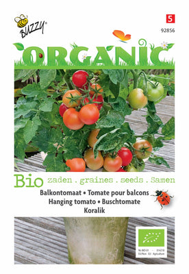 Tomate de balcon Koralik (bio)