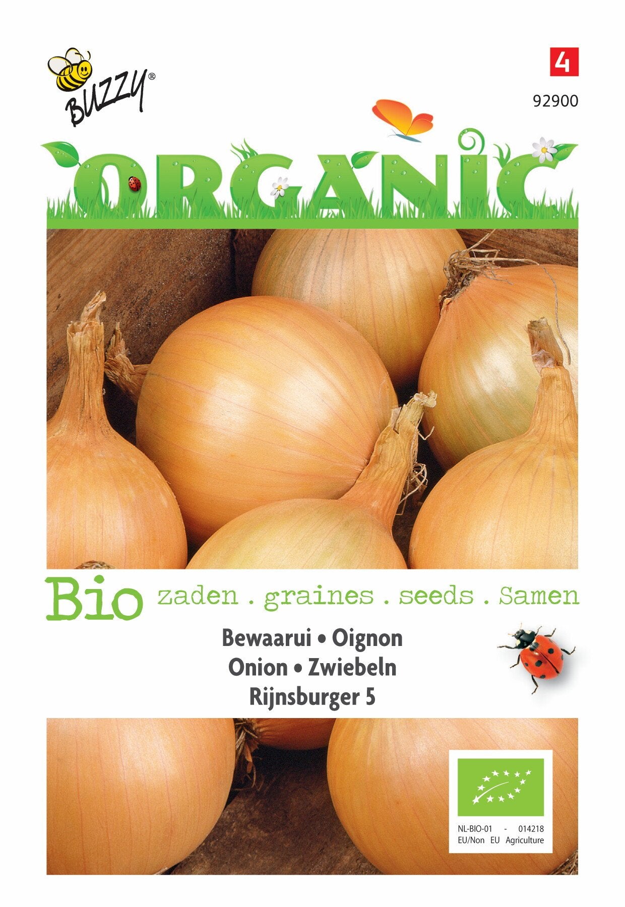Oignon Rijnsburger 5, oignon de garde (BIO) - Graines