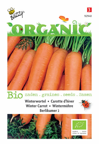 Carottes d'hiver Berlikumer 2 (BIO) - Graines