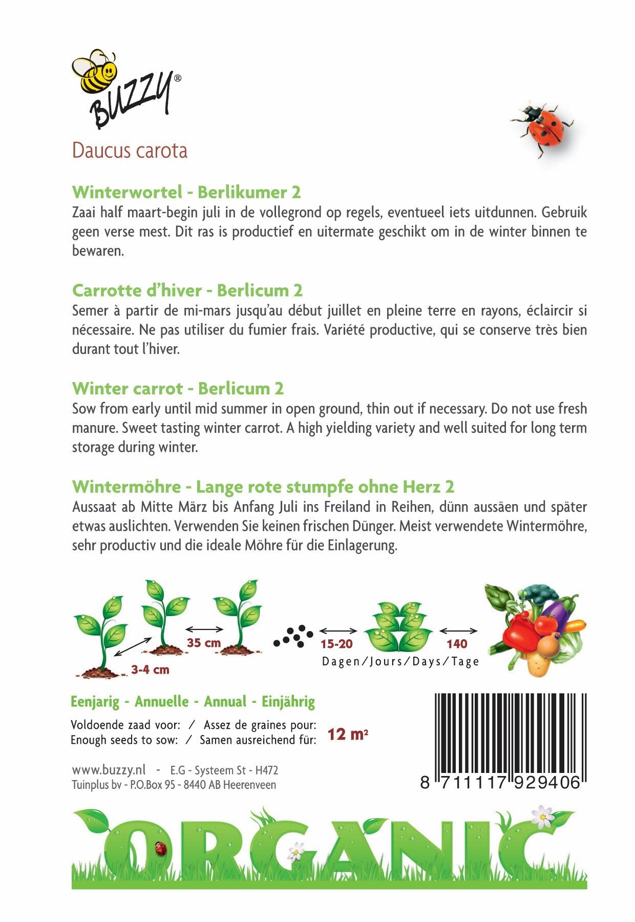 Carottes d'hiver Berlikumer 2 (BIO) - Graines