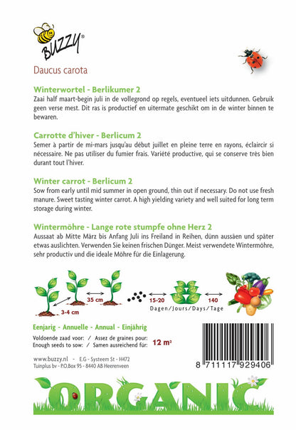 Carottes d'hiver Berlikumer 2 (BIO) - Graines