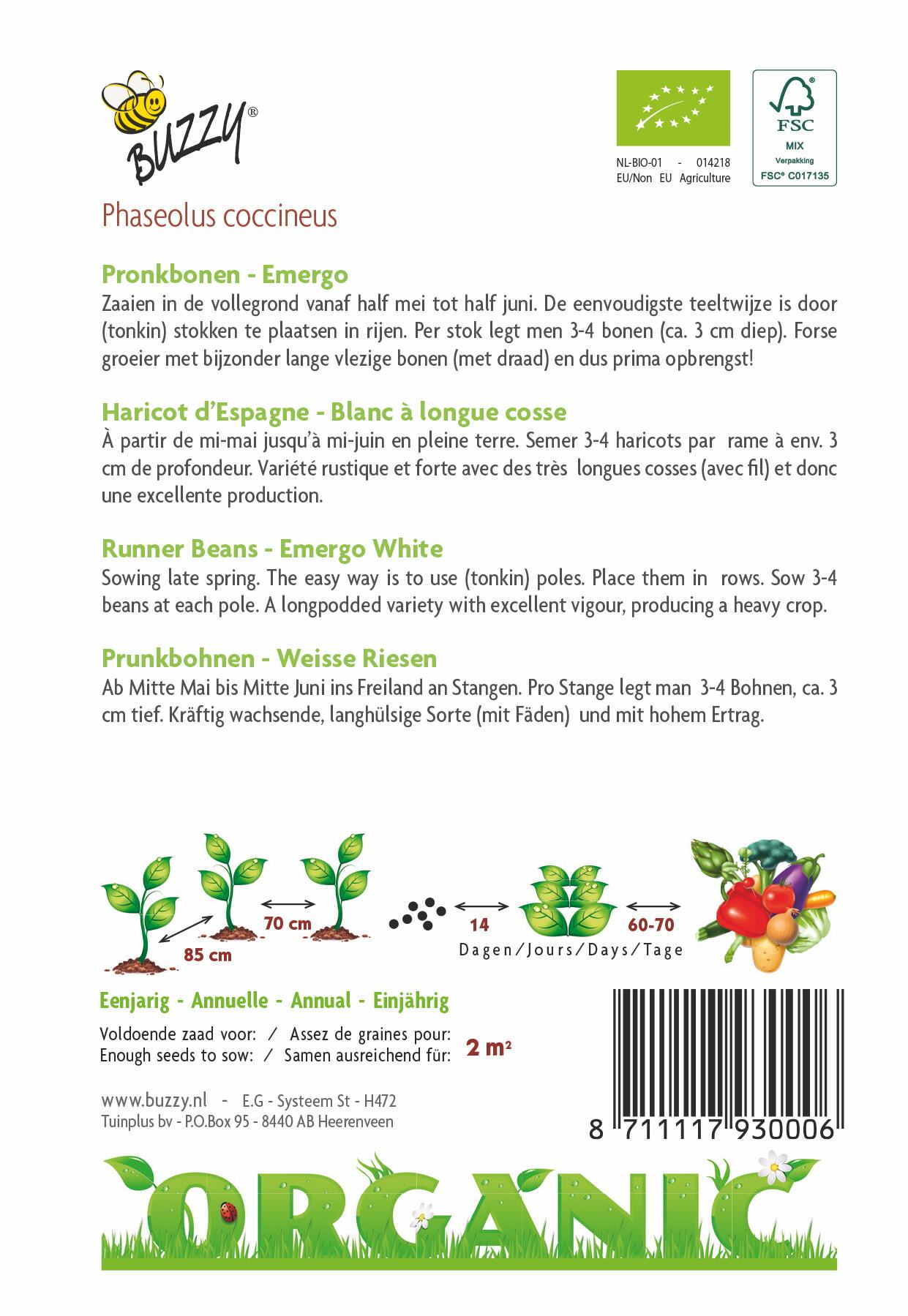 Pronkboon Emergo (BIO) - Zaden