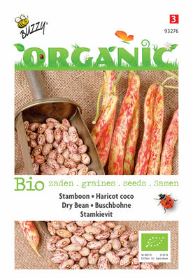 Haricot grimpant Vanneau lapwlow bas (BIO)