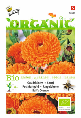 Calendula, orange de Marigold Ball (BIO)
