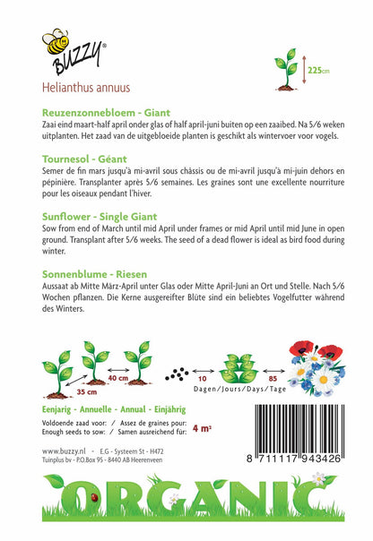 Helianthus, Reuzenzonnebloem giganteus (BIO) - Zaden