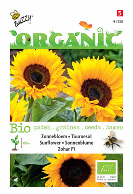 Helianthus, Tournesol Zohar F1 (BIO)