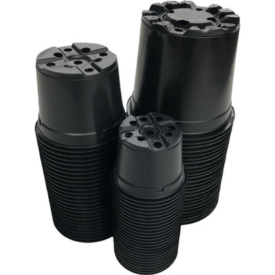 Petit paquet de culture 5