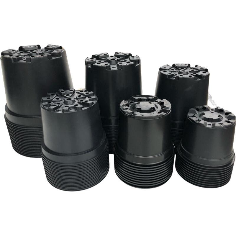 Kweekpakket groot 4 - 