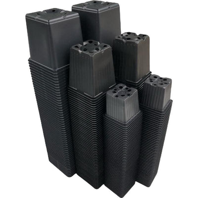 Grand paquet évolutif 2