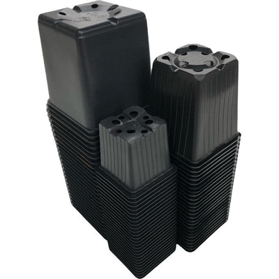 petit kit d'élevage 4