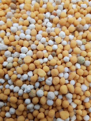 Après-shampoing Sedum