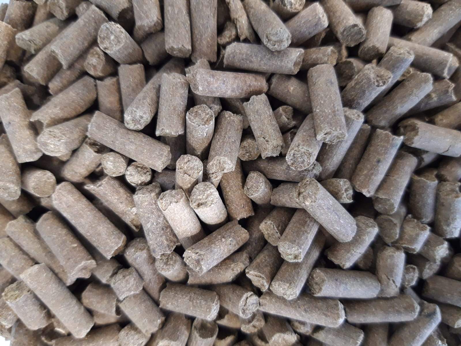 Sedum Nutrition - Groendak