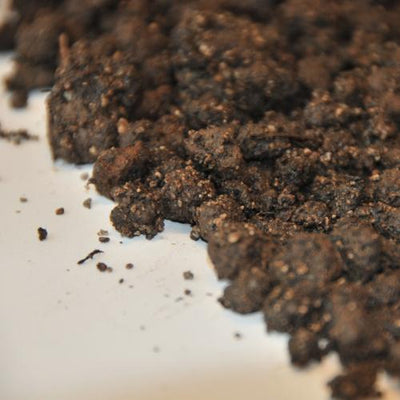 substrat de toiture végétalisée étendu