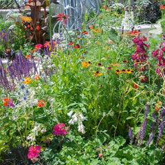 paquet d'action frontalière