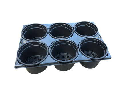 Kweektray met 6 potjes - 9cm - Kweekbenodigdheden