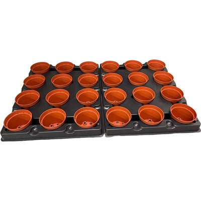Plateau de culture avec 24 pots rouges de 6 cm